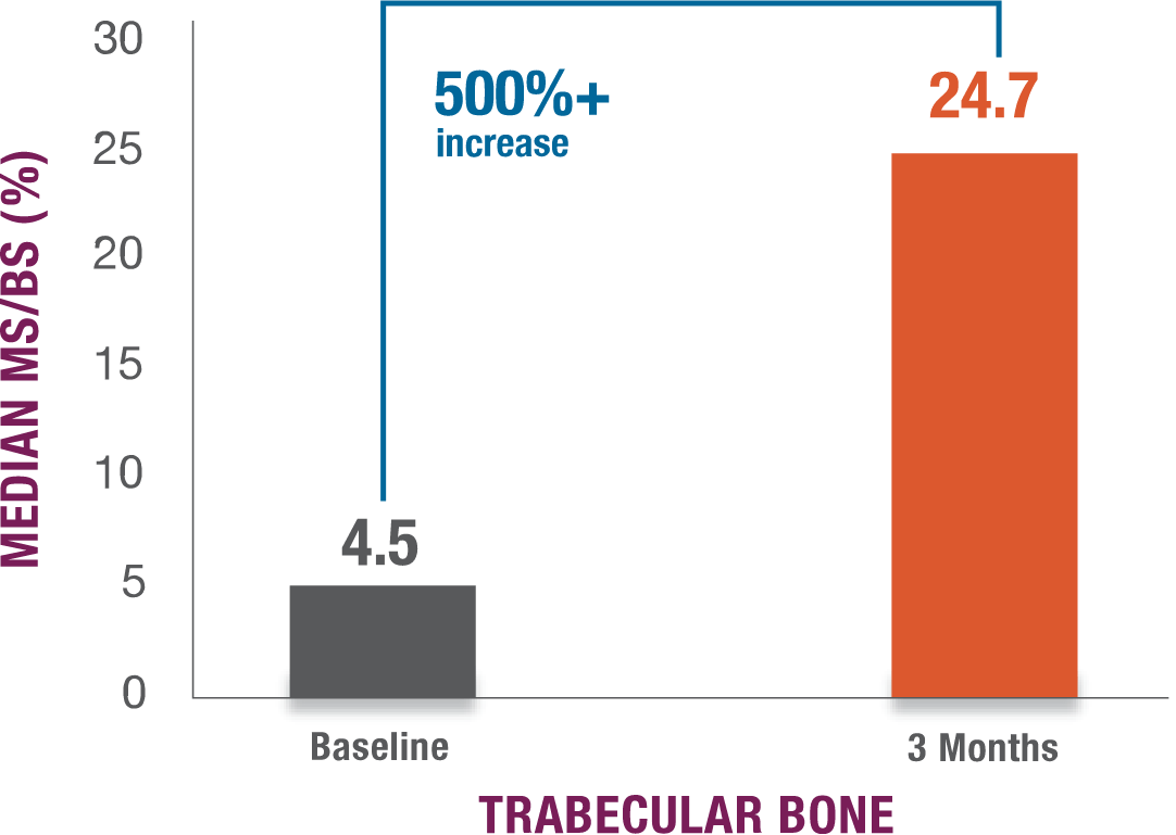 Change in mineralizing surface to bone surface of 5% in trabecular bone at baseline (4.5%) and at 3 months (24.7%) representing a 500%+ increase in trabecular bone