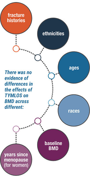 There was no evidence of differences in the effects of TYMLOS on BMD across fracture histories, ethnicities, ages, races, baseline BMD, years since menopause